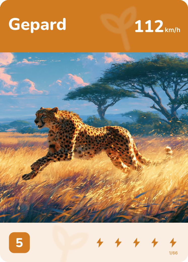 Karta Gepard, rychlost 112 km/h